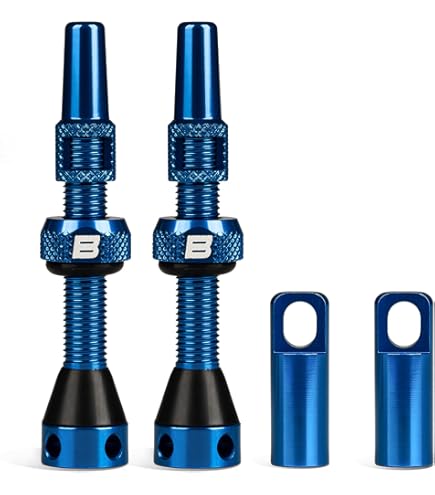 Amazon.com : DT Swiss Ratchet EXP Freehub Body - SRAM XDR